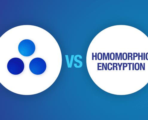 TripleBlind vs Homomorphic Encryption banner image